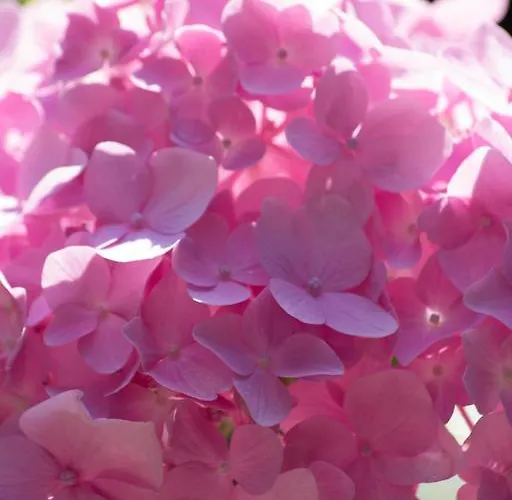 Vakantiehuis Melinda